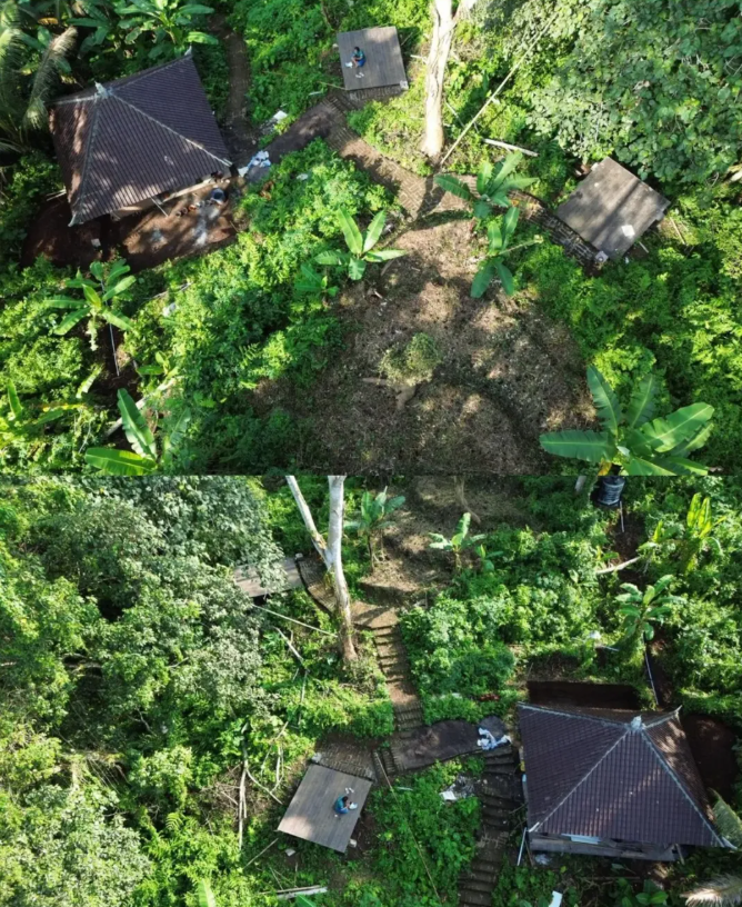 Aerial view of Bale Damai Gunung Salak cabins among dense greenery